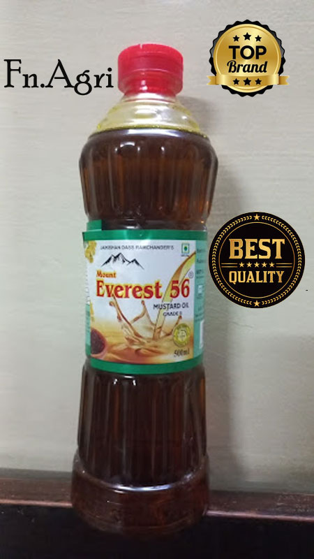Mount Everest 56