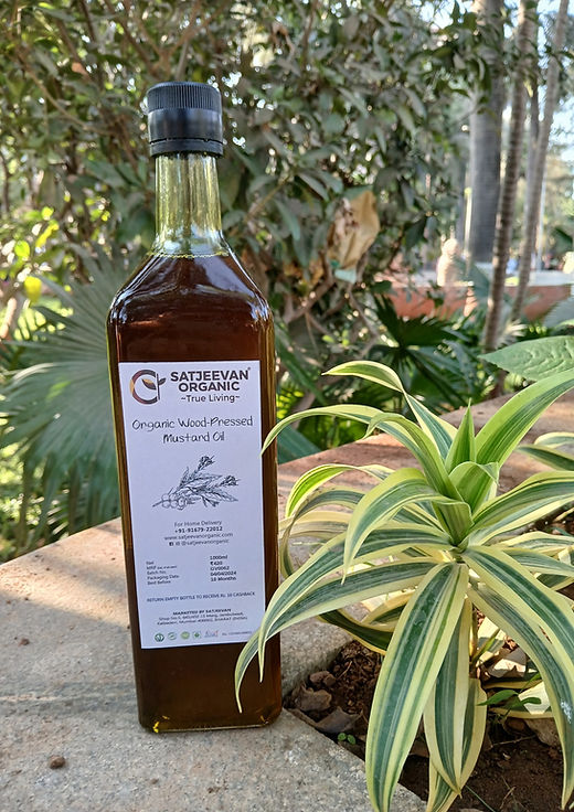 Satjeevan Organic